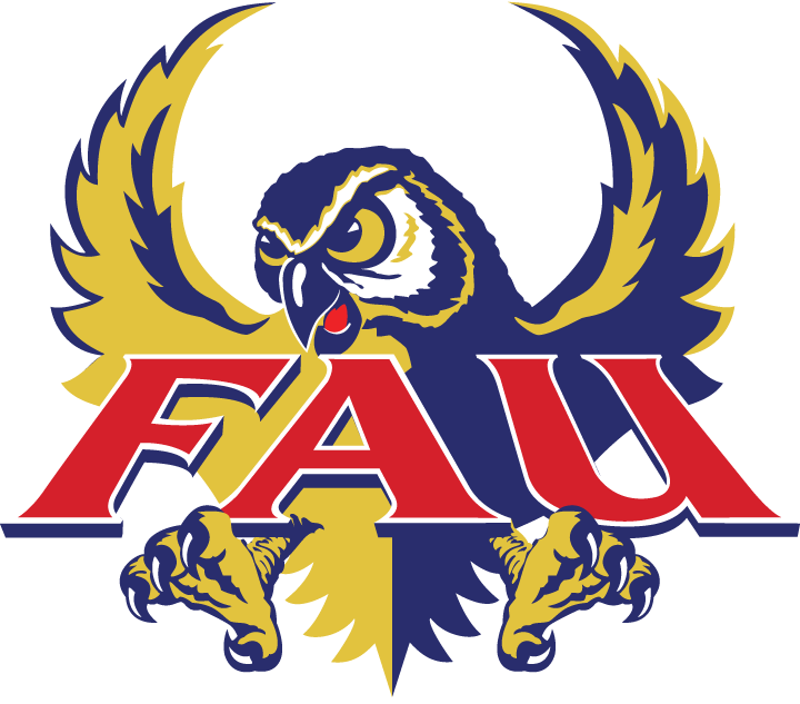 Florida Atlantic Owls 1994-2004 Primary Logo DIY iron on transfer (heat transfer)